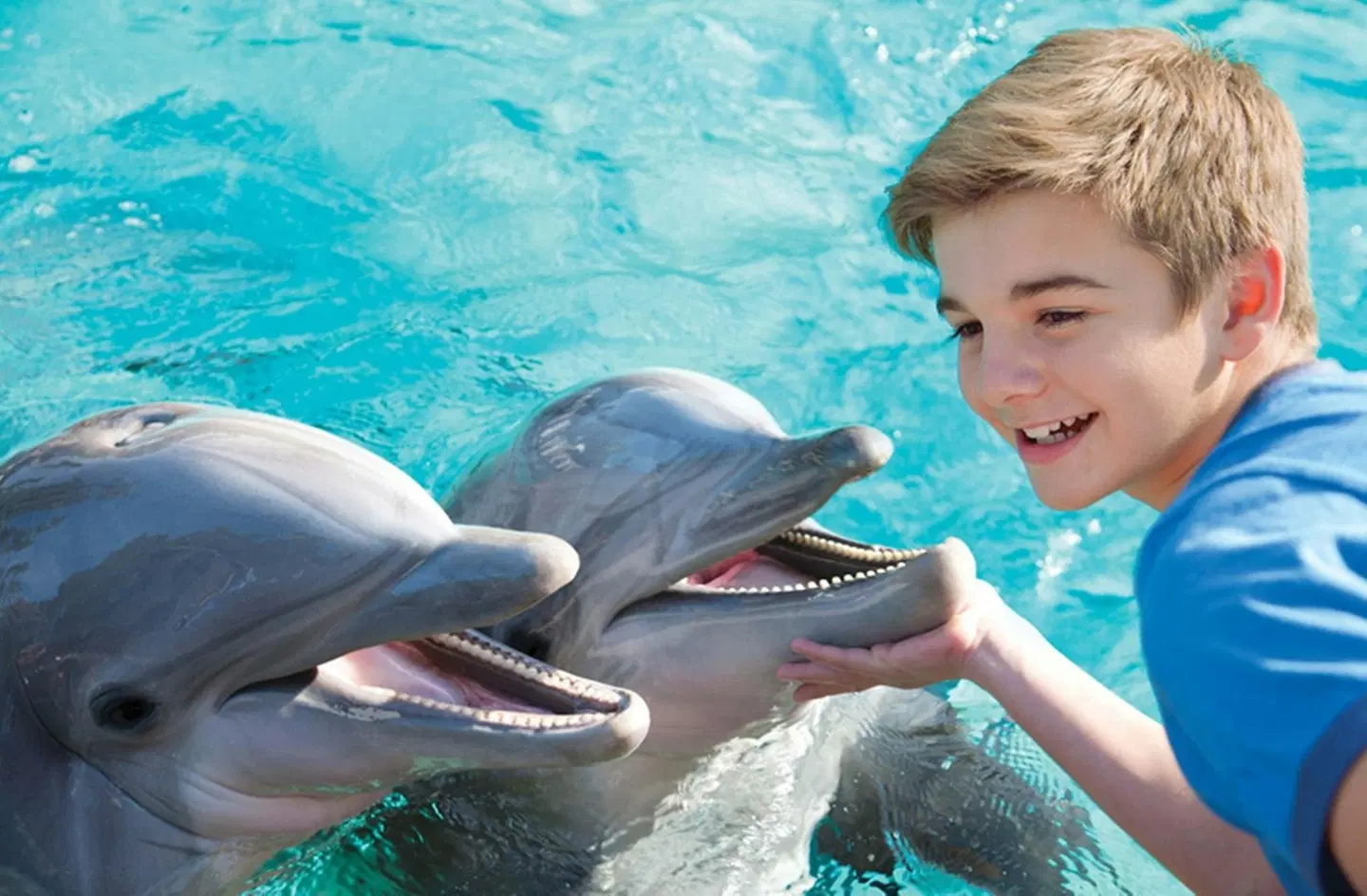 Holiday Inn Express San Diego-Sea World Area by IHG PEOPLE
