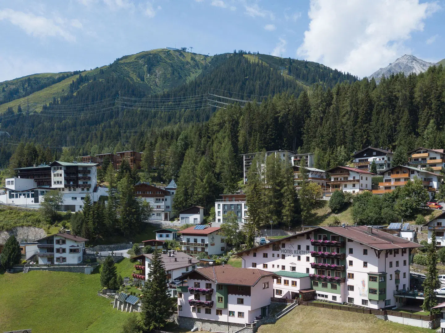 Kertess LANDSCAPE
