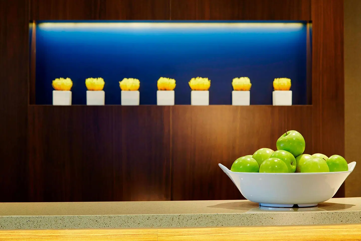 Courtyard by Marriott Denver South/Park Meadows Mall Konferenz