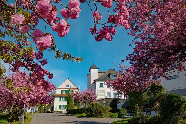 Parkhotel St. Leonhard EXTERIOR