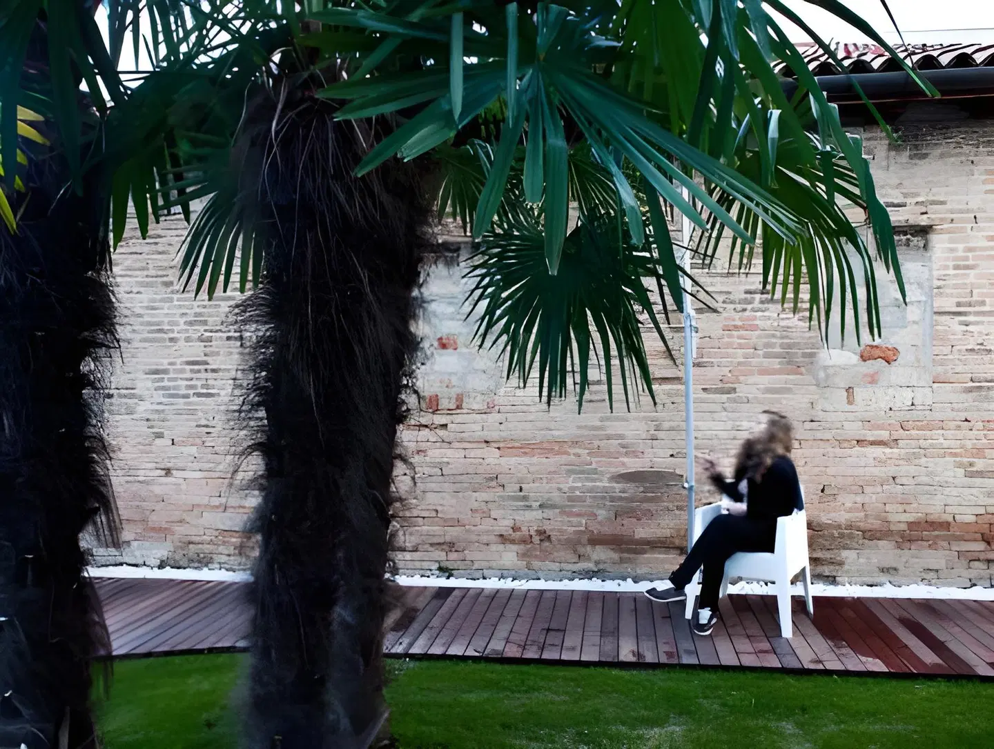Legrenzi Rooms Tiere