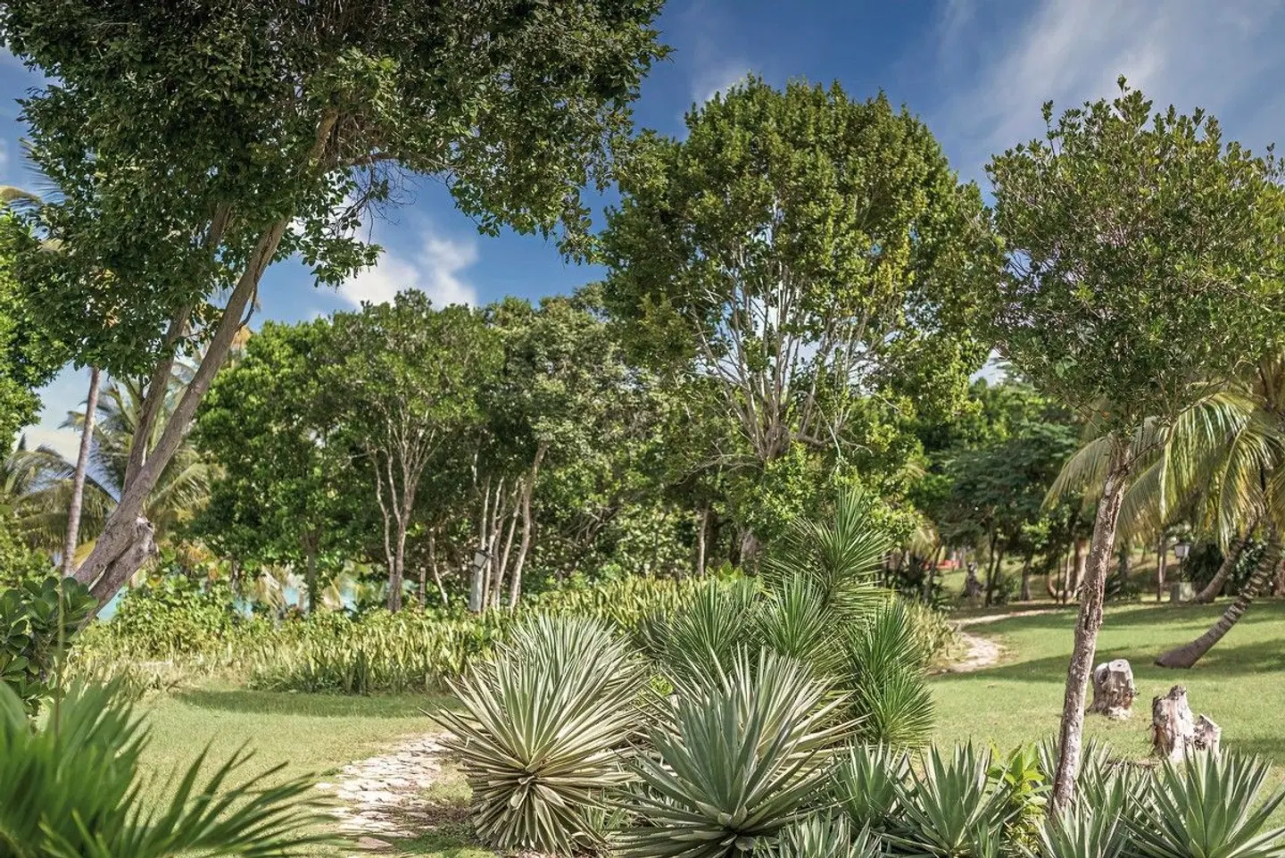 Rio de Luna y Mares Garten