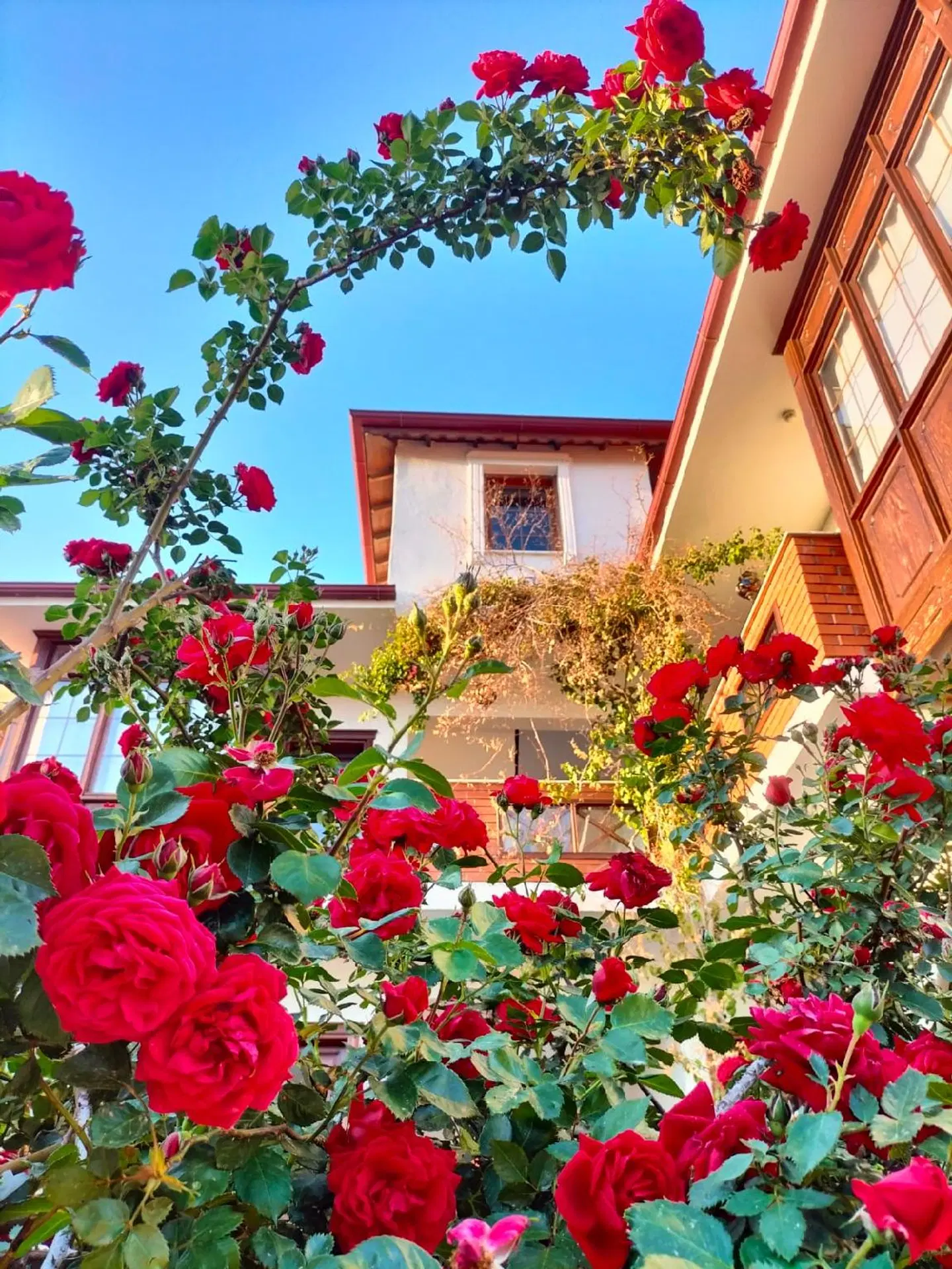 Hotel Mary's House EXTERIOR