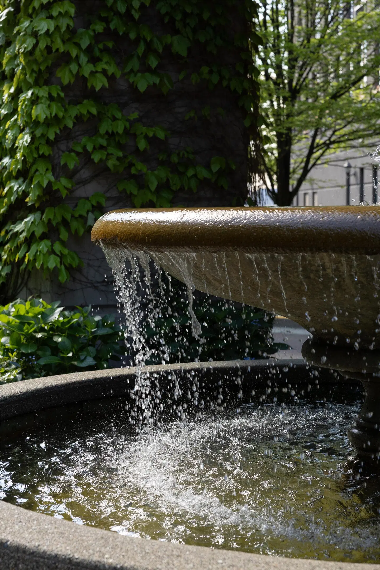 DoubleTree by Hilton North Vancouver Garten
