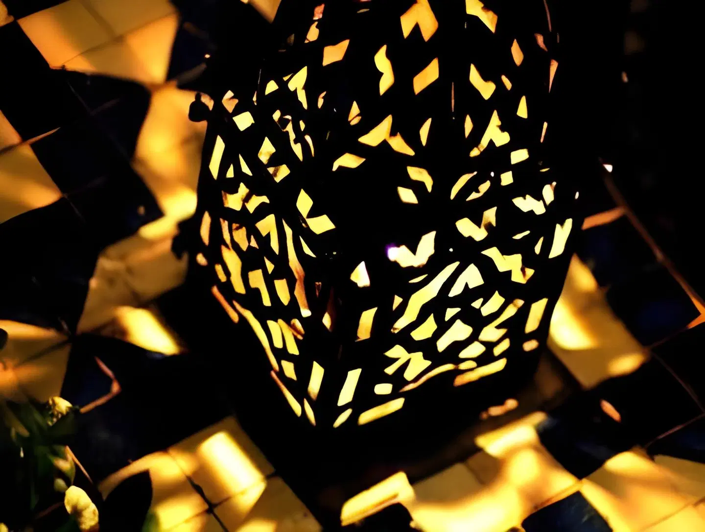 Riad El Borj Tiere
