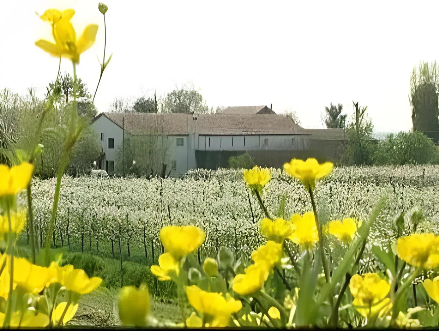 Villa Casa Country Garten