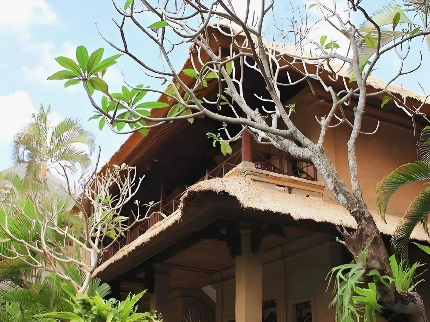 Bali Agung Village Tiere