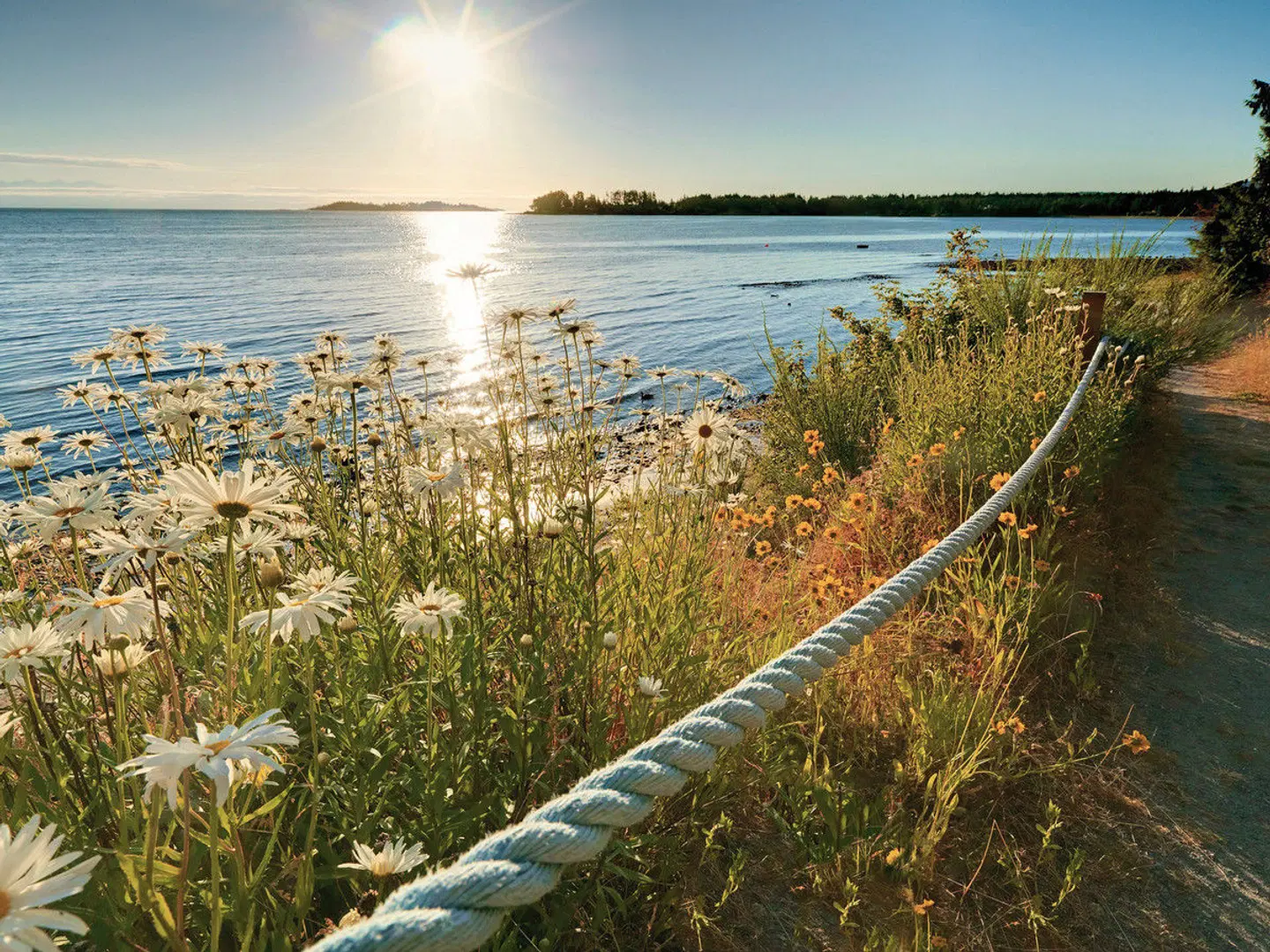 Sunrise Ridge Waterfront Resort LANDSCAPE