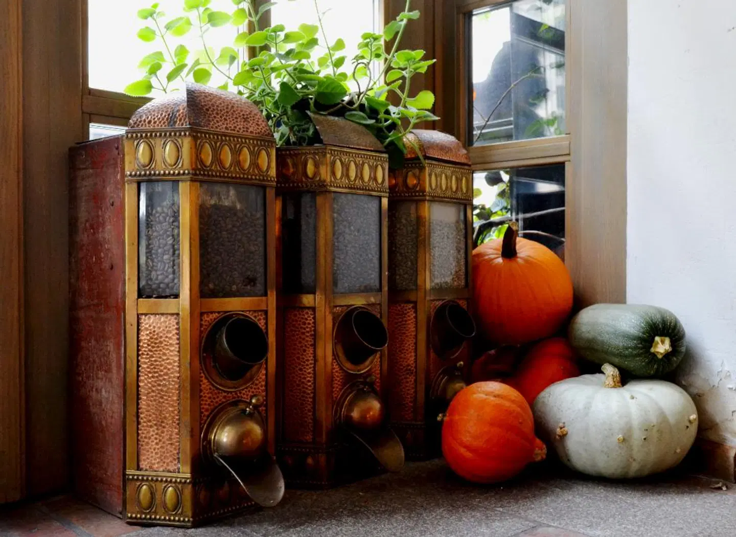 Chopin Boutique B&B LOUNGE_LOBBY
