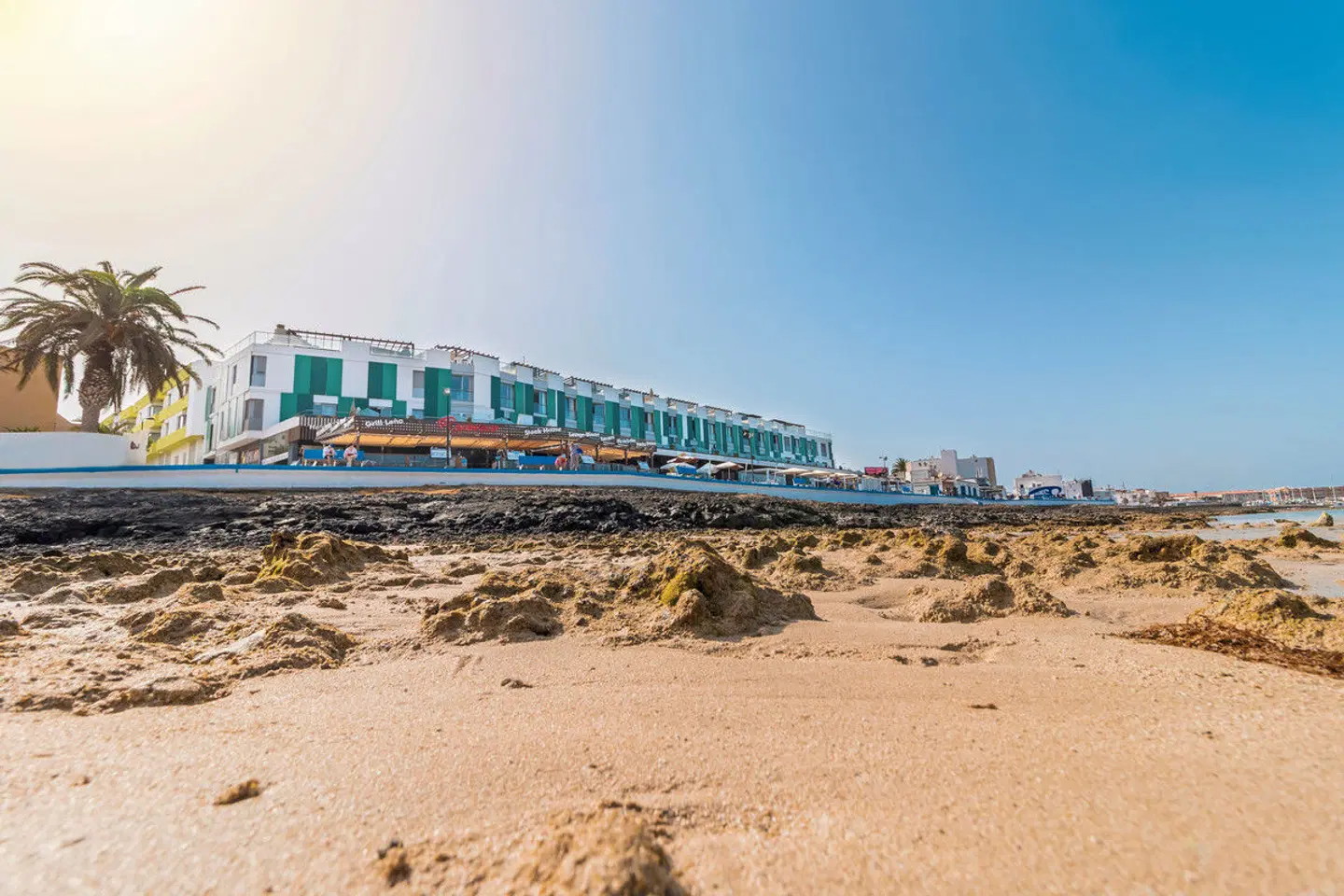 LIVVO Corralejo Beach LANDSCAPE