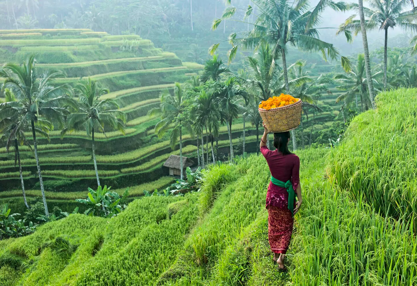 Bali komplett (Privatreise) Garten