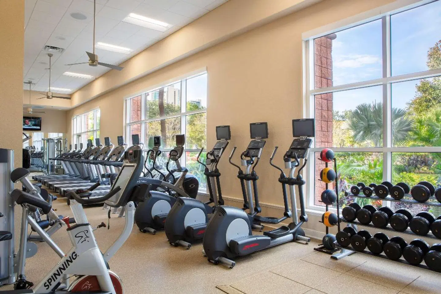 Rosen Centre Hotel SPORTS_AND_LEISURE