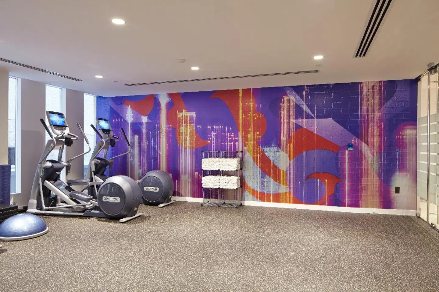 Hotel Indigo Atlanta Downtown by IHG SPORTS_AND_LEISURE