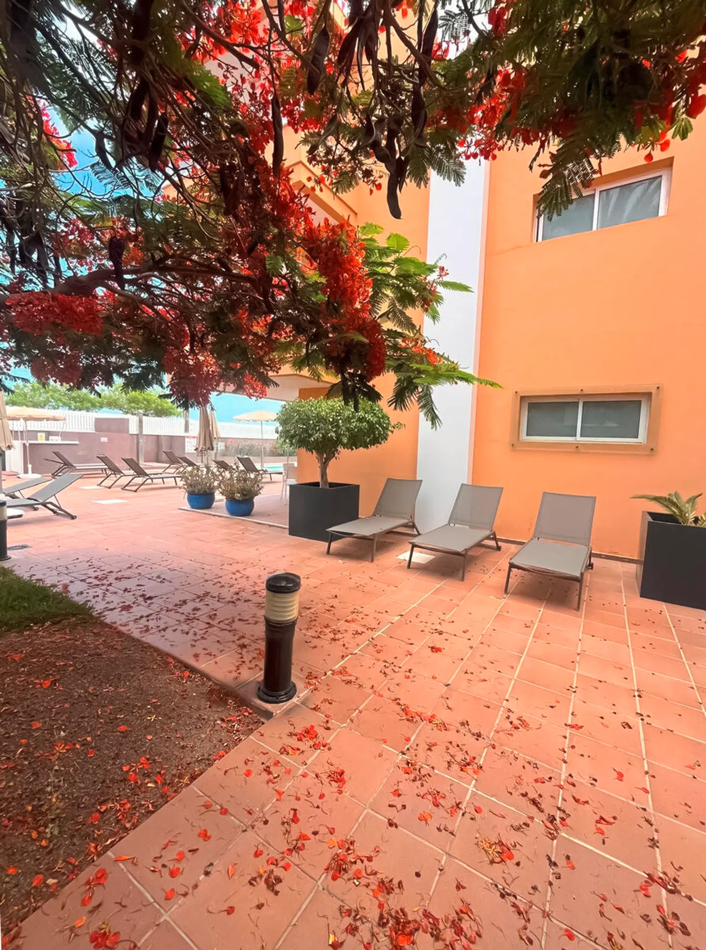 Horizonte Terrasse