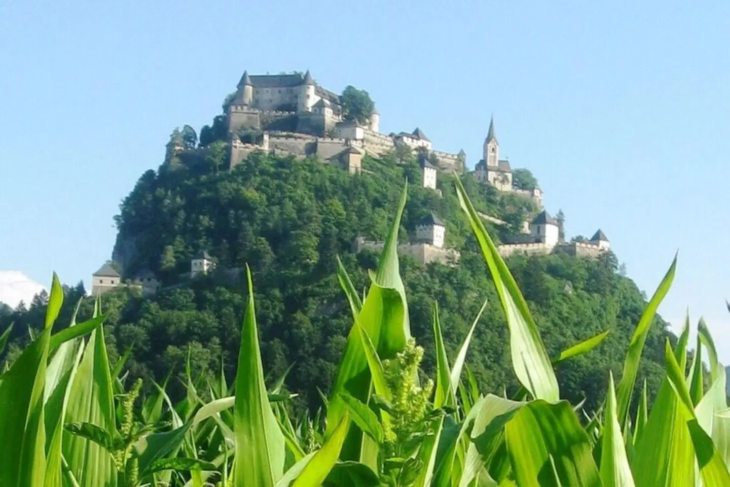 Biolandhaus Arche LANDSCAPE