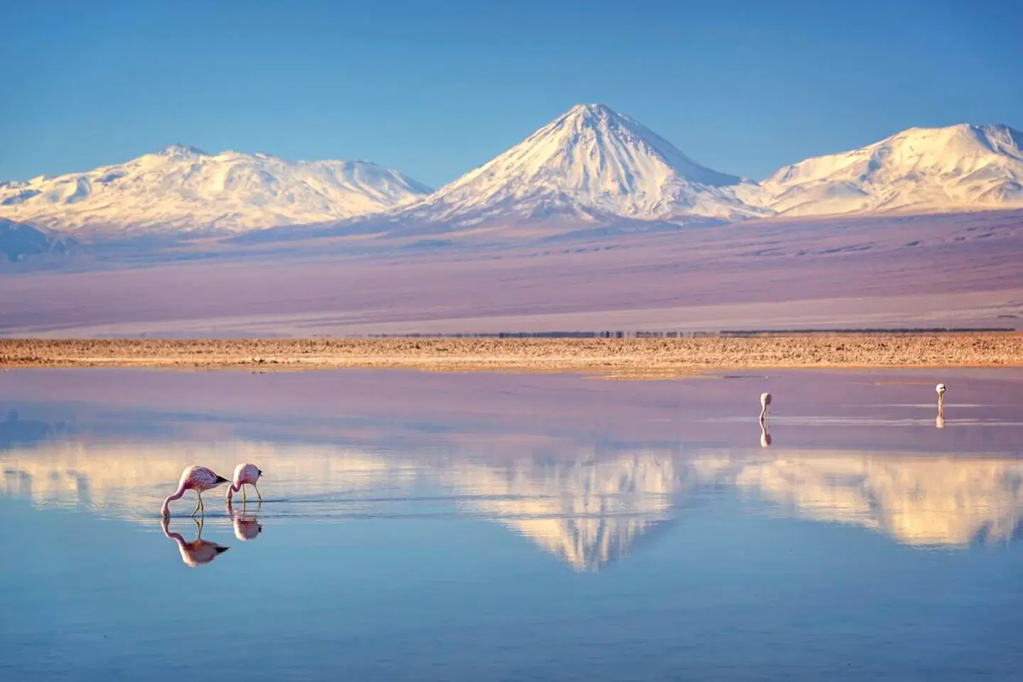 Die große Reise ans Ende der Welt: Von der Atacama bis Kap Hoorn LANDSCAPE