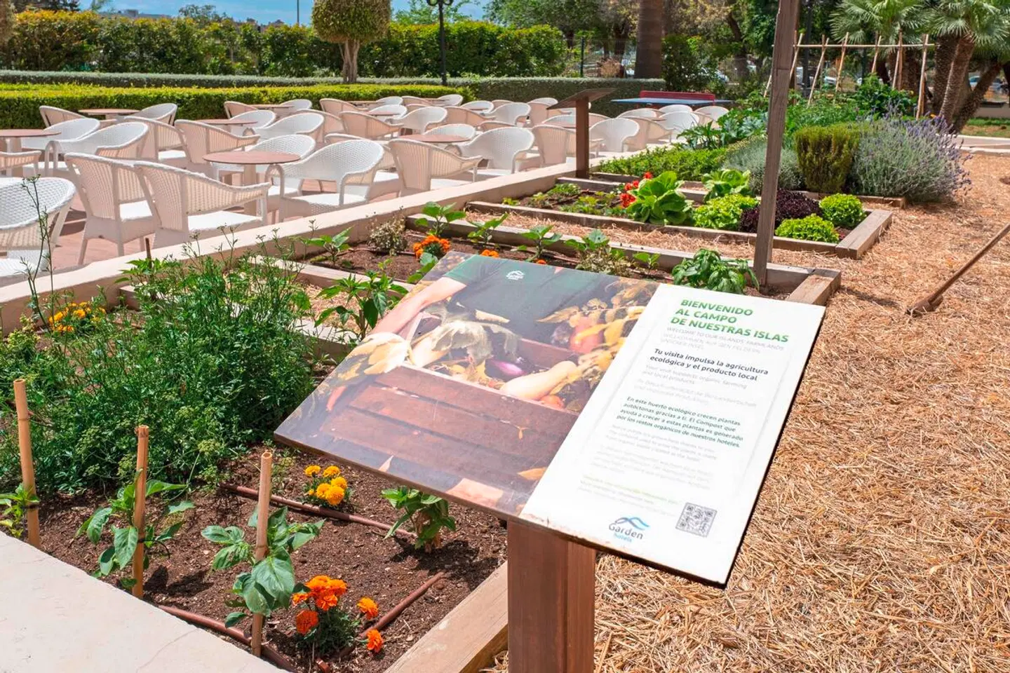 Cala Millor Garden Terrasse