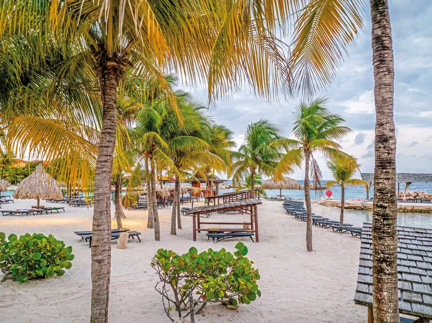 LionsDive Beach Resort Garten