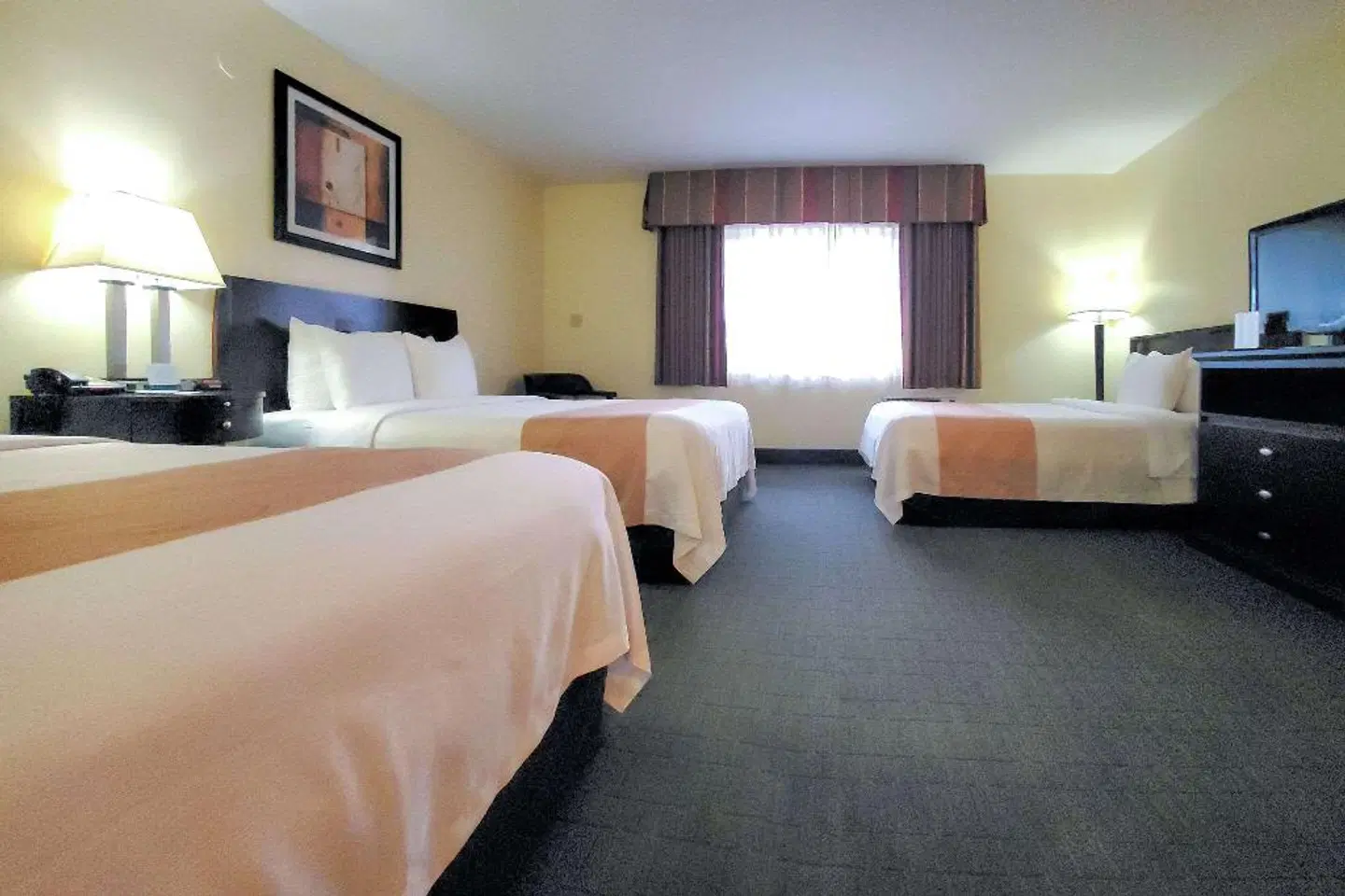 Quality Inn & Suites Anaheim at the Park ROOM_EXAMPLE