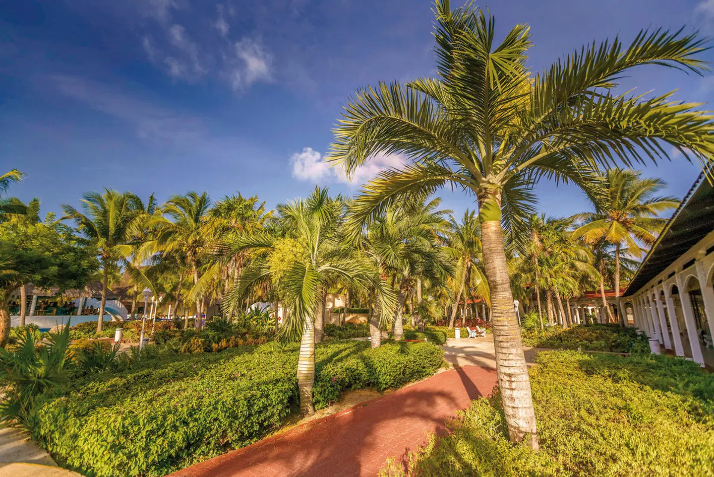 Cayo Santa Maria Hotel LANDSCAPE