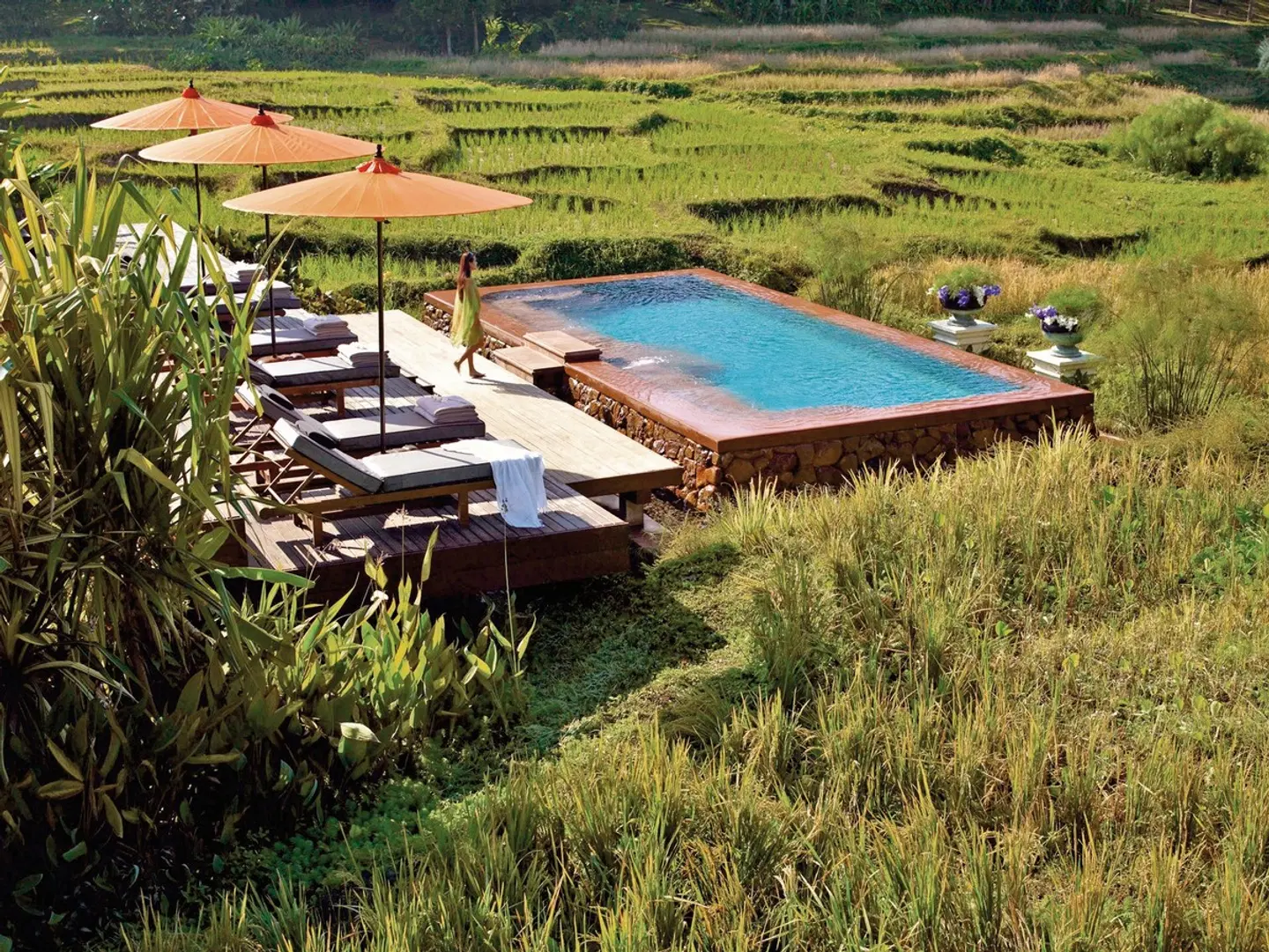 Four Seasons Resort Chiang Mai OUTDOOR_POOL