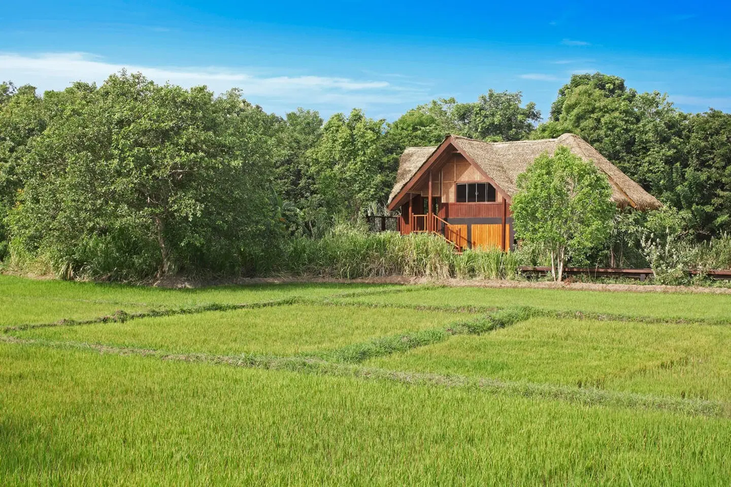 Jetwing Vil Uyana EXTERIOR