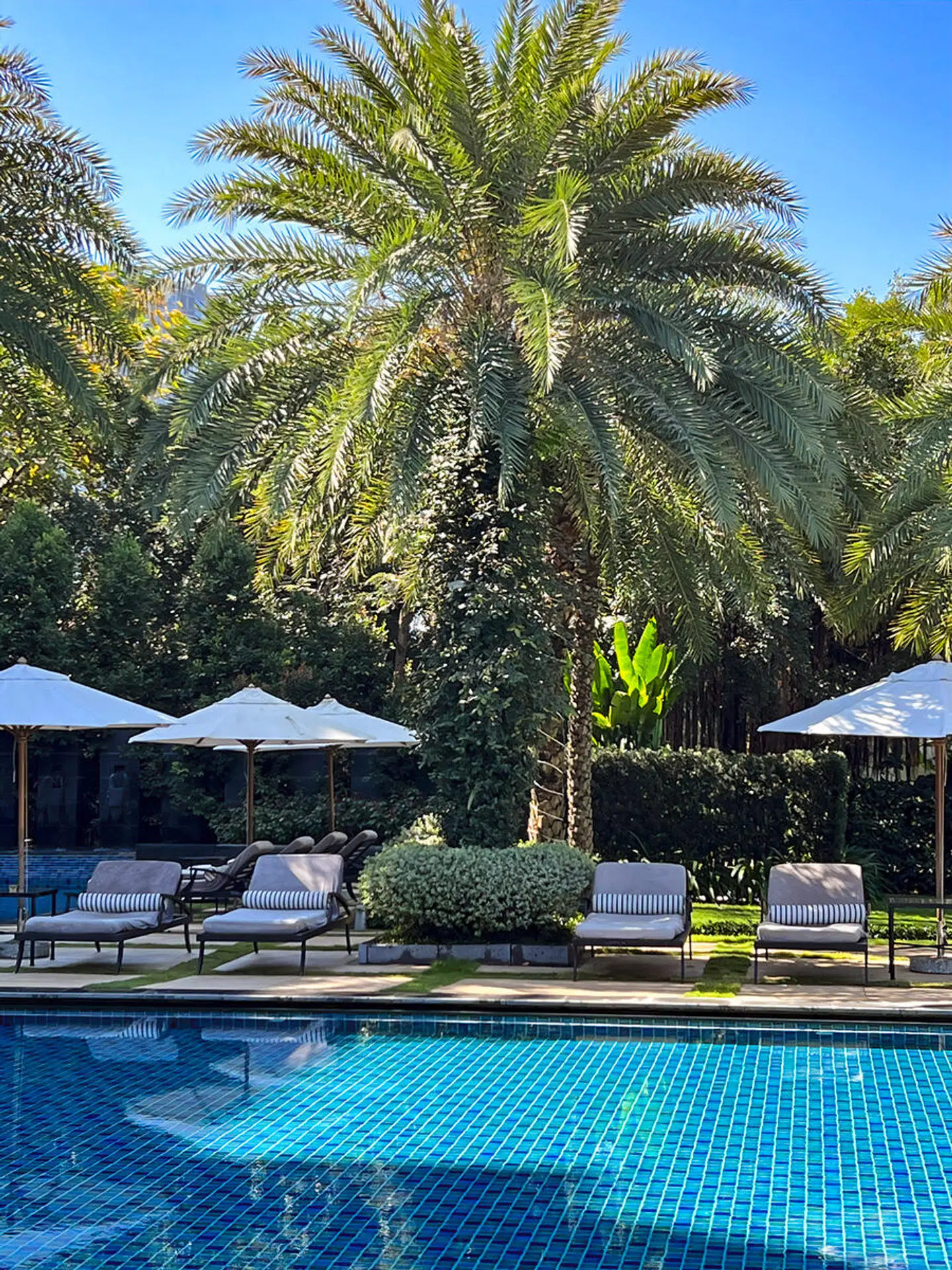 Mia Saigon - Luxury Boutique Hotel OUTDOOR_POOL
