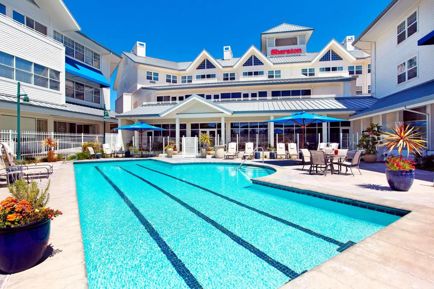 Sheraton Sonoma Wine Country Petaluma OUTDOOR_POOL