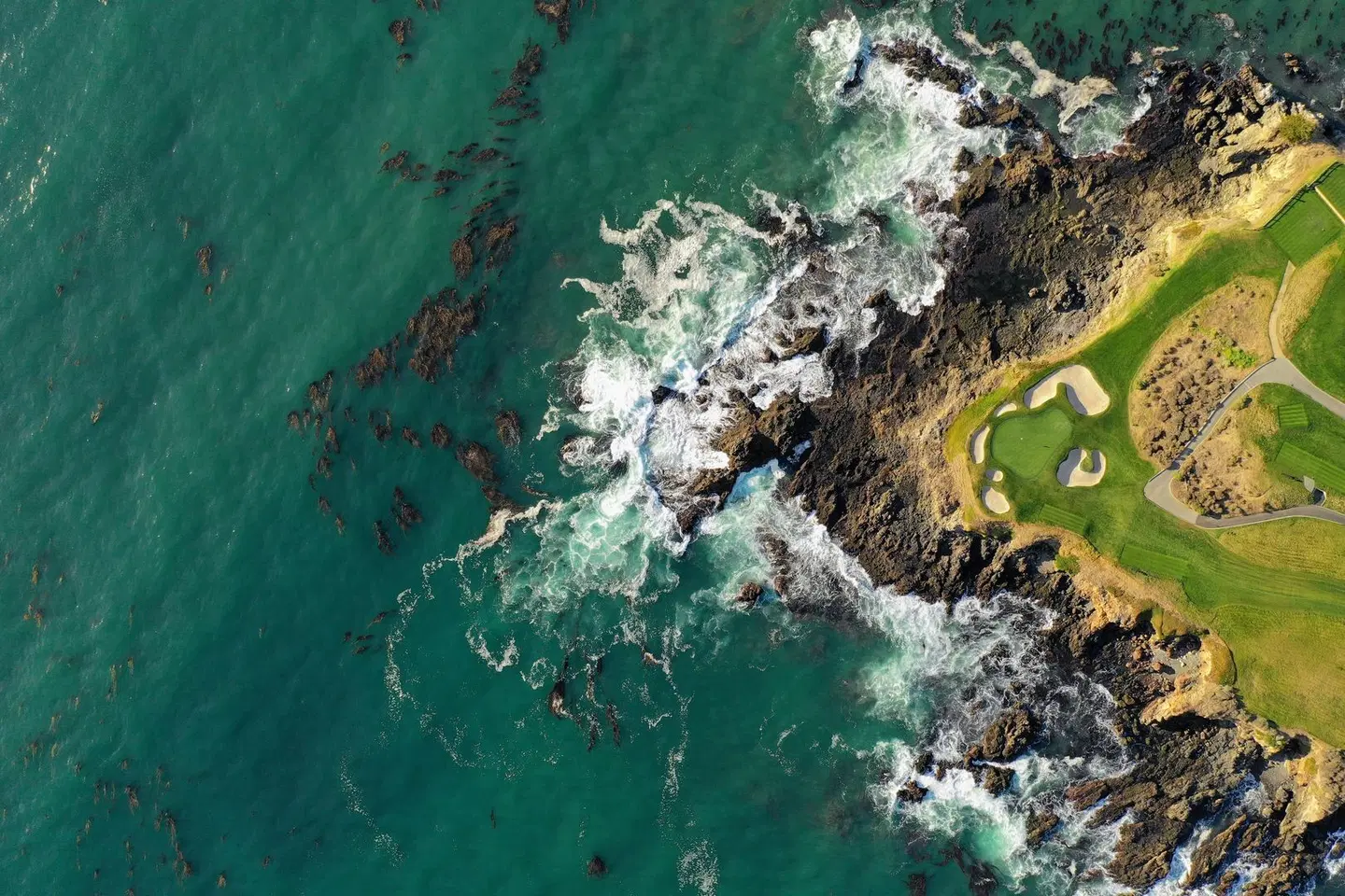 Holiday Inn Express At Monterey Bay by IHG LANDSCAPE