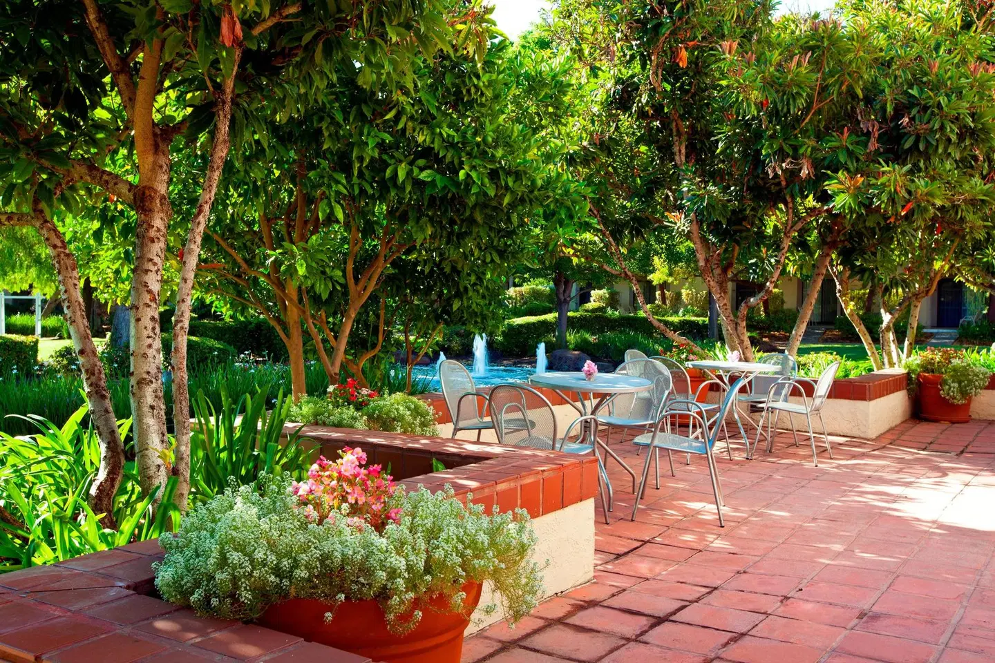 Four Points by Sheraton - Pleasanton Terrasse
