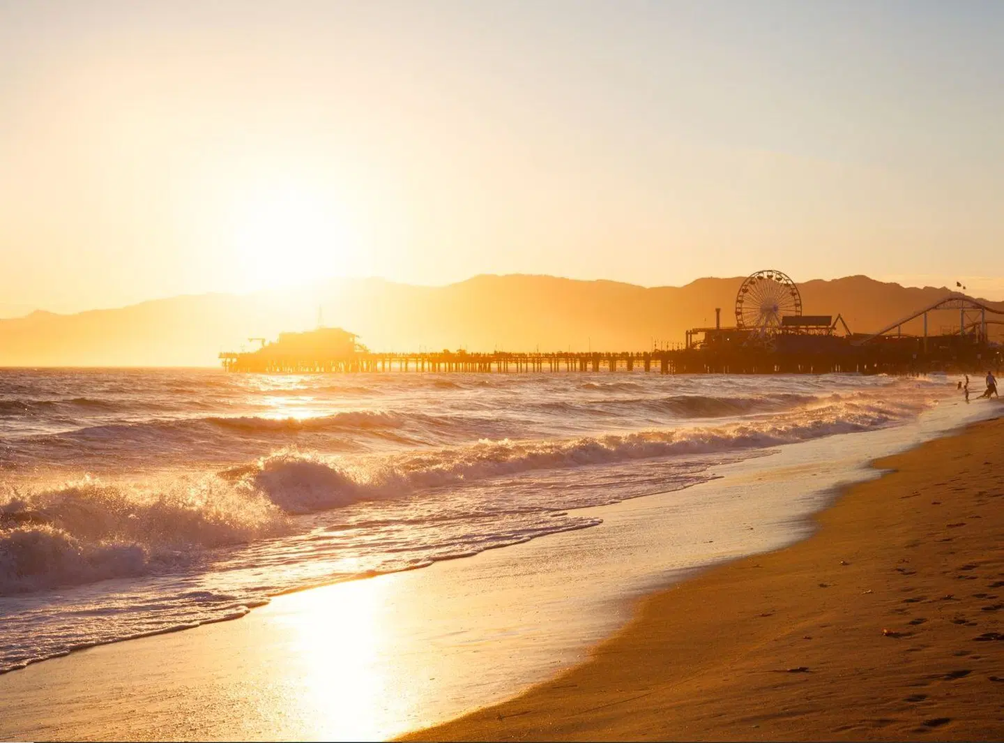 Regent Santa Monica Beach LANDSCAPE