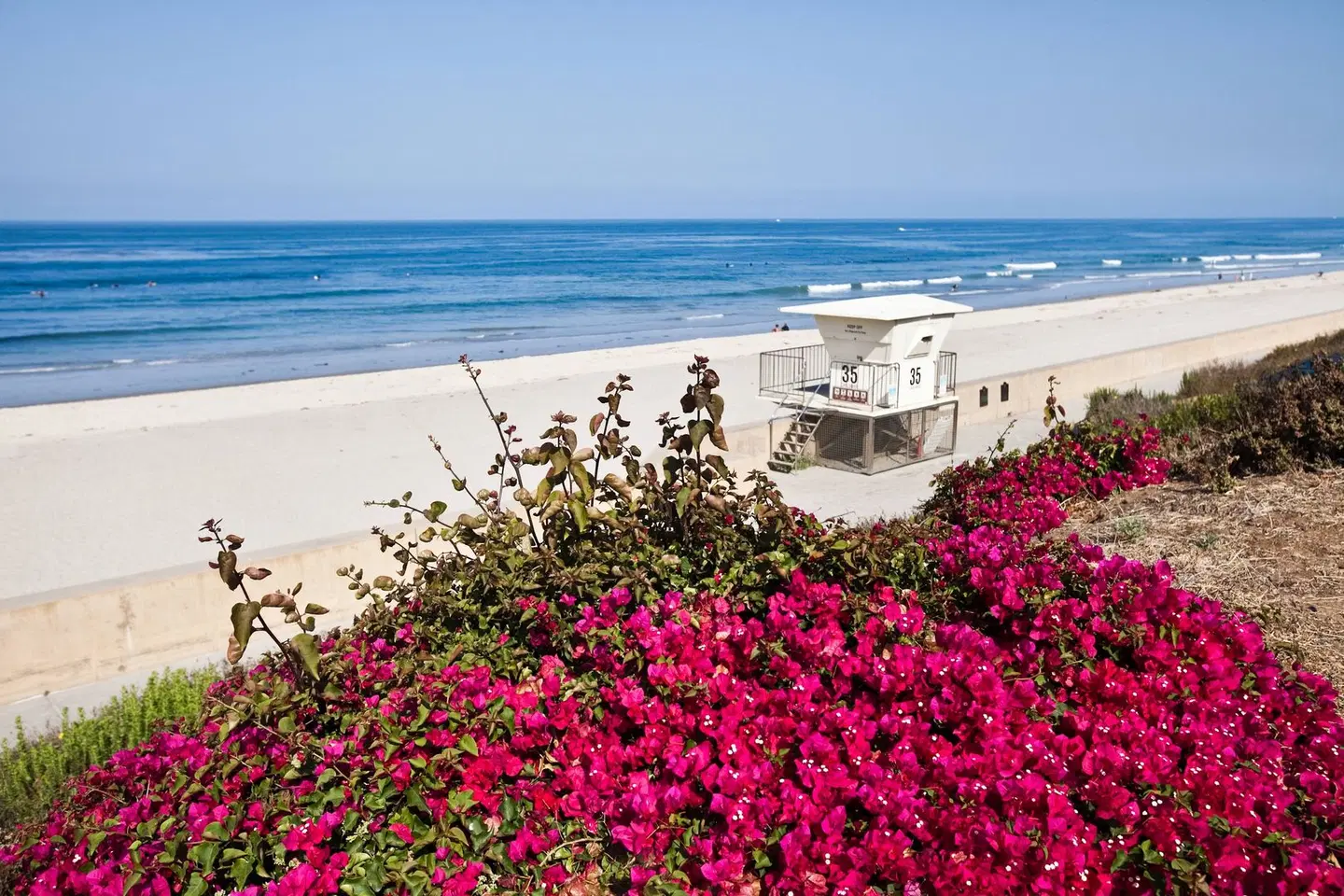 Sheraton Carlsbad Resort & Spa Strand