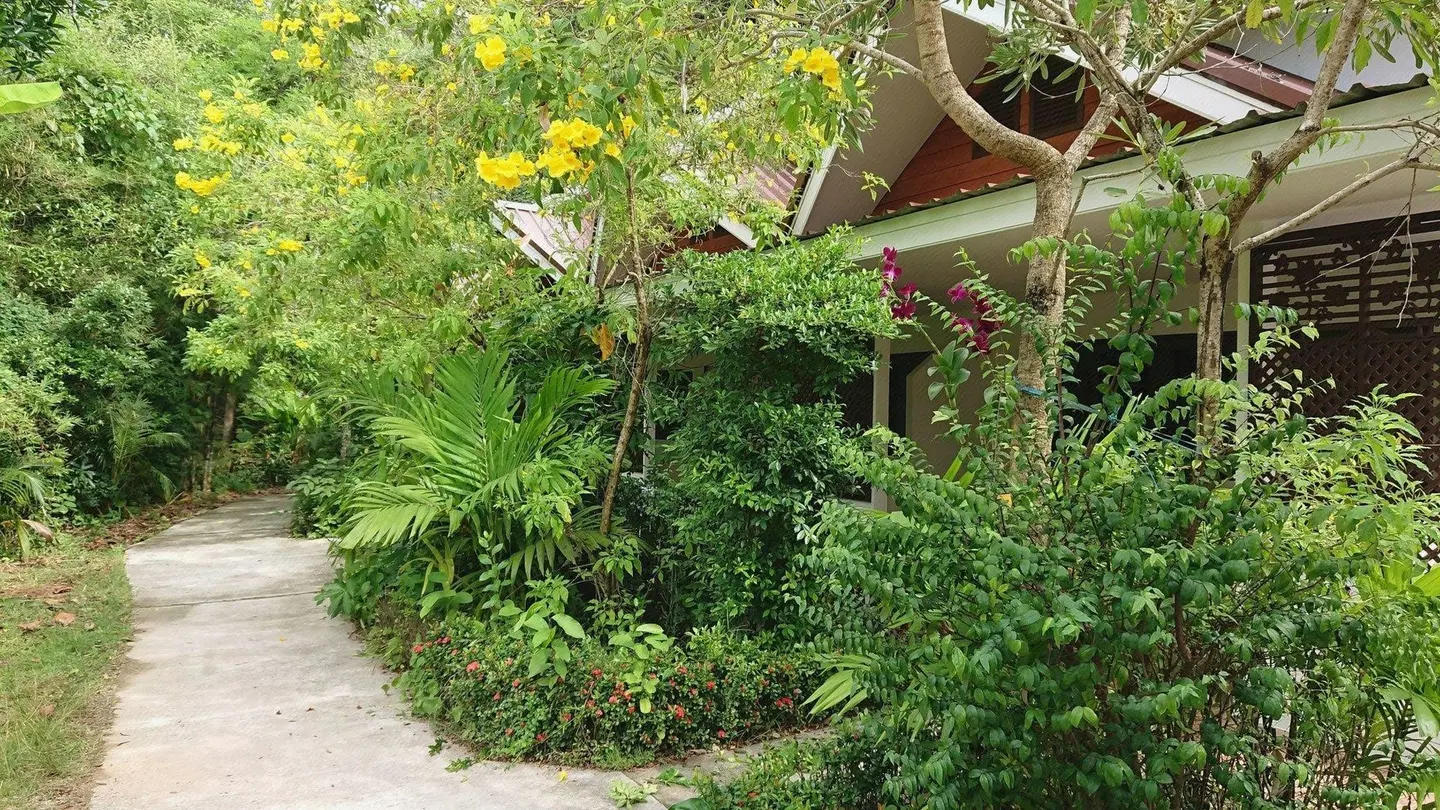 The Krabi Forest Homestay Garten