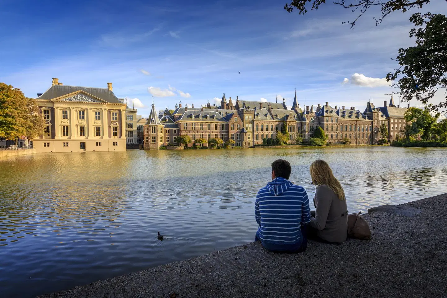 voco The Hague by IHG LANDSCAPE