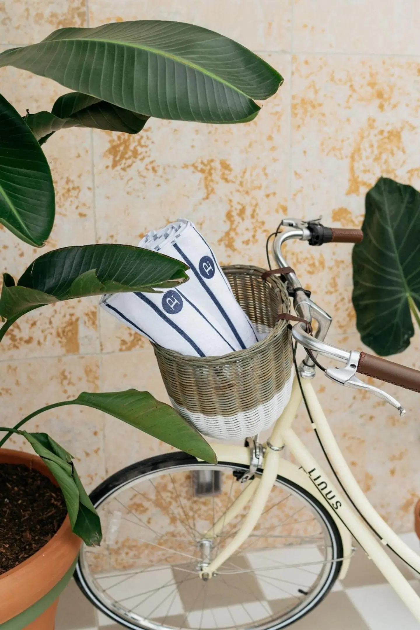 Palihouse Santa Barbara HEALTH_BEAUTY