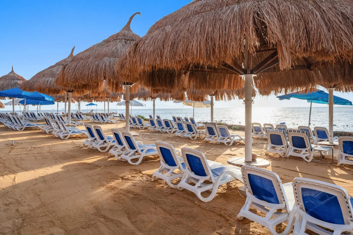 Pickalbatros Luxury Suites BEACH