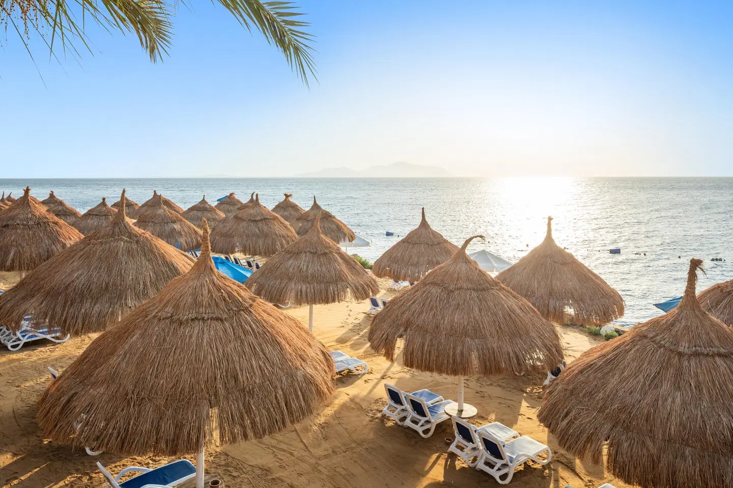 Pickalbatros Luxury Suites BEACH