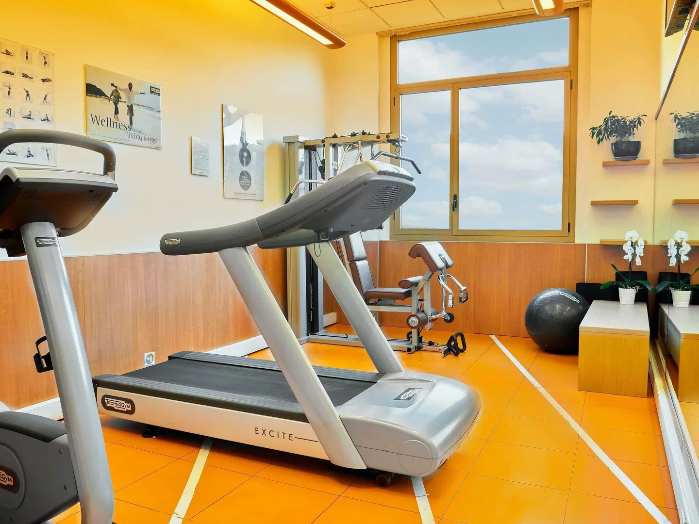 Novotel Torino Corso Giulio Cesare Hotel SPORTS_AND_LEISURE