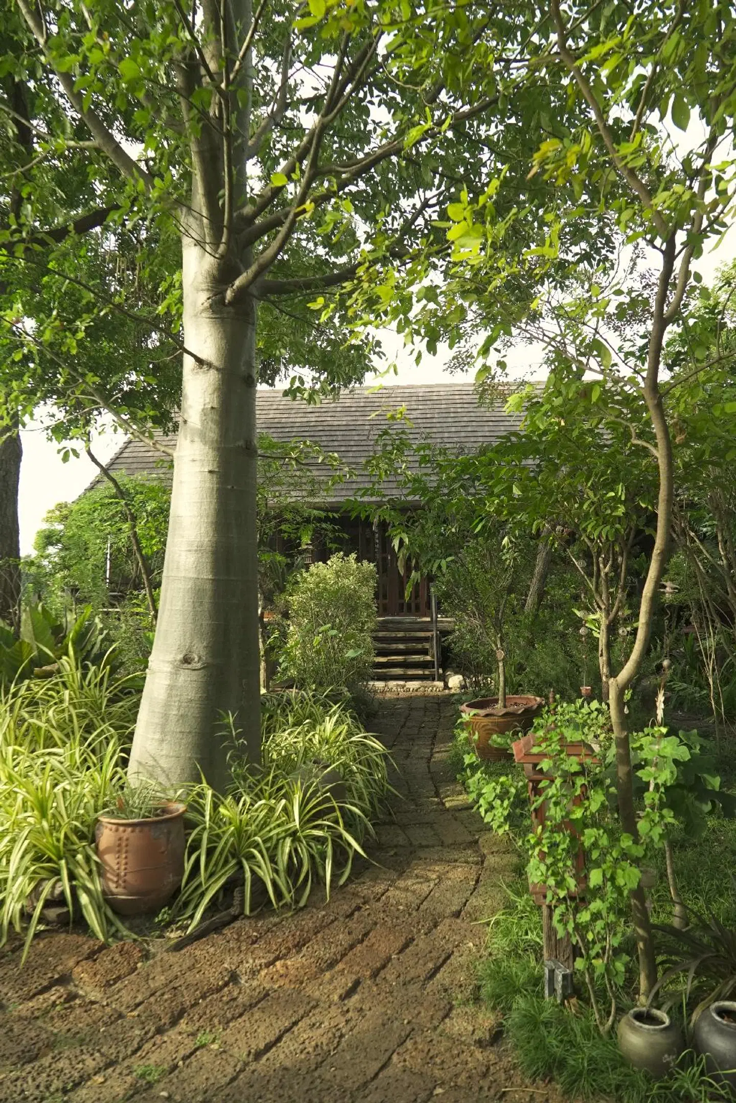 Cattani's Riverside Home Garten