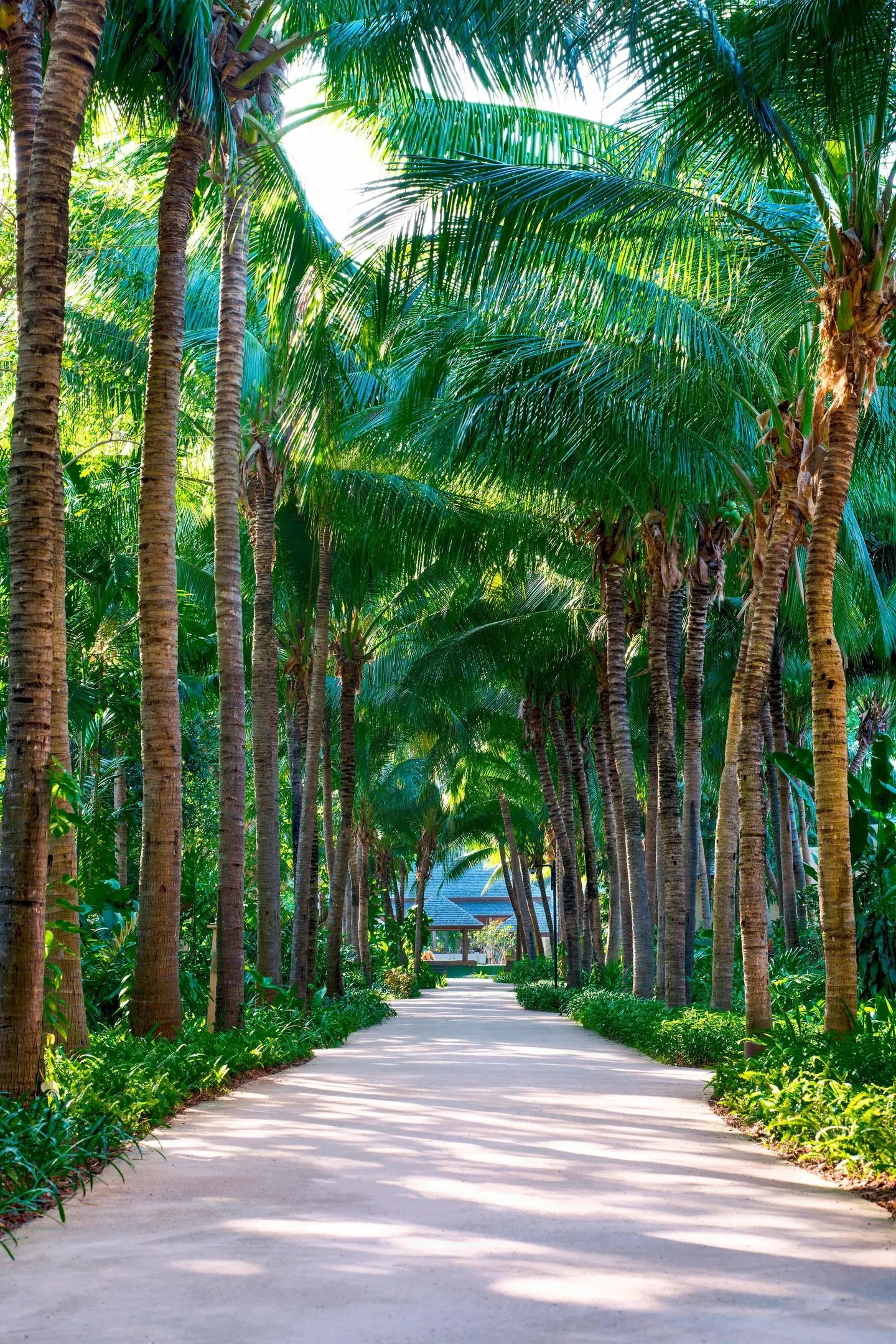 Sheraton Hua Hin Pranburi Villas Garten