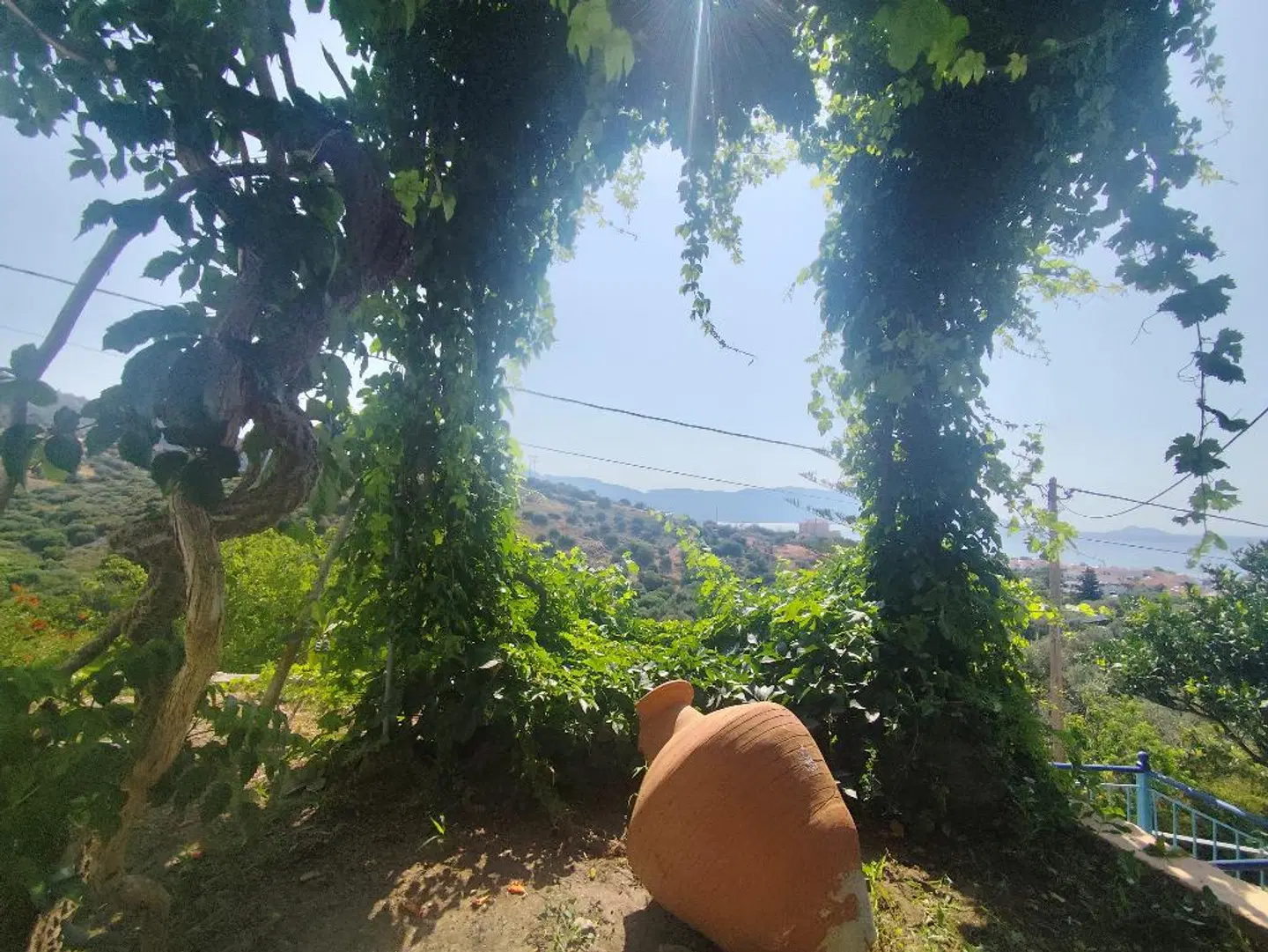 Villa Jota Garten