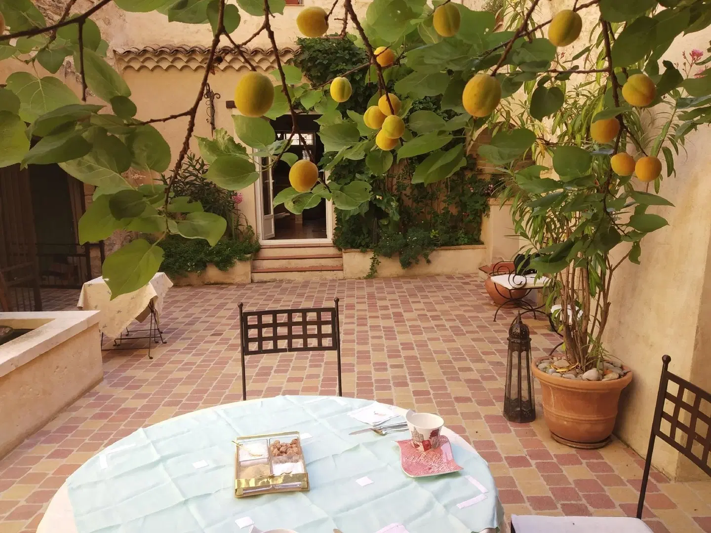 Le Térébinthe B&B Terrasse