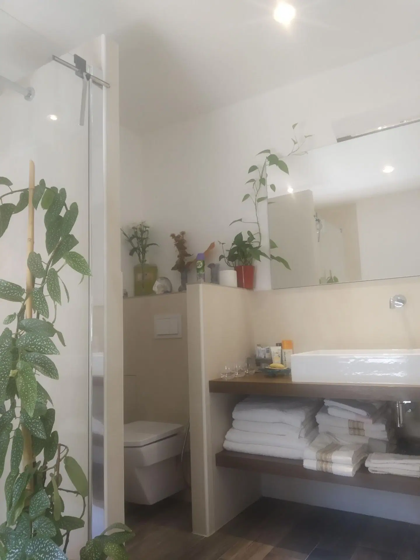 Le Térébinthe B&B Badezimmer