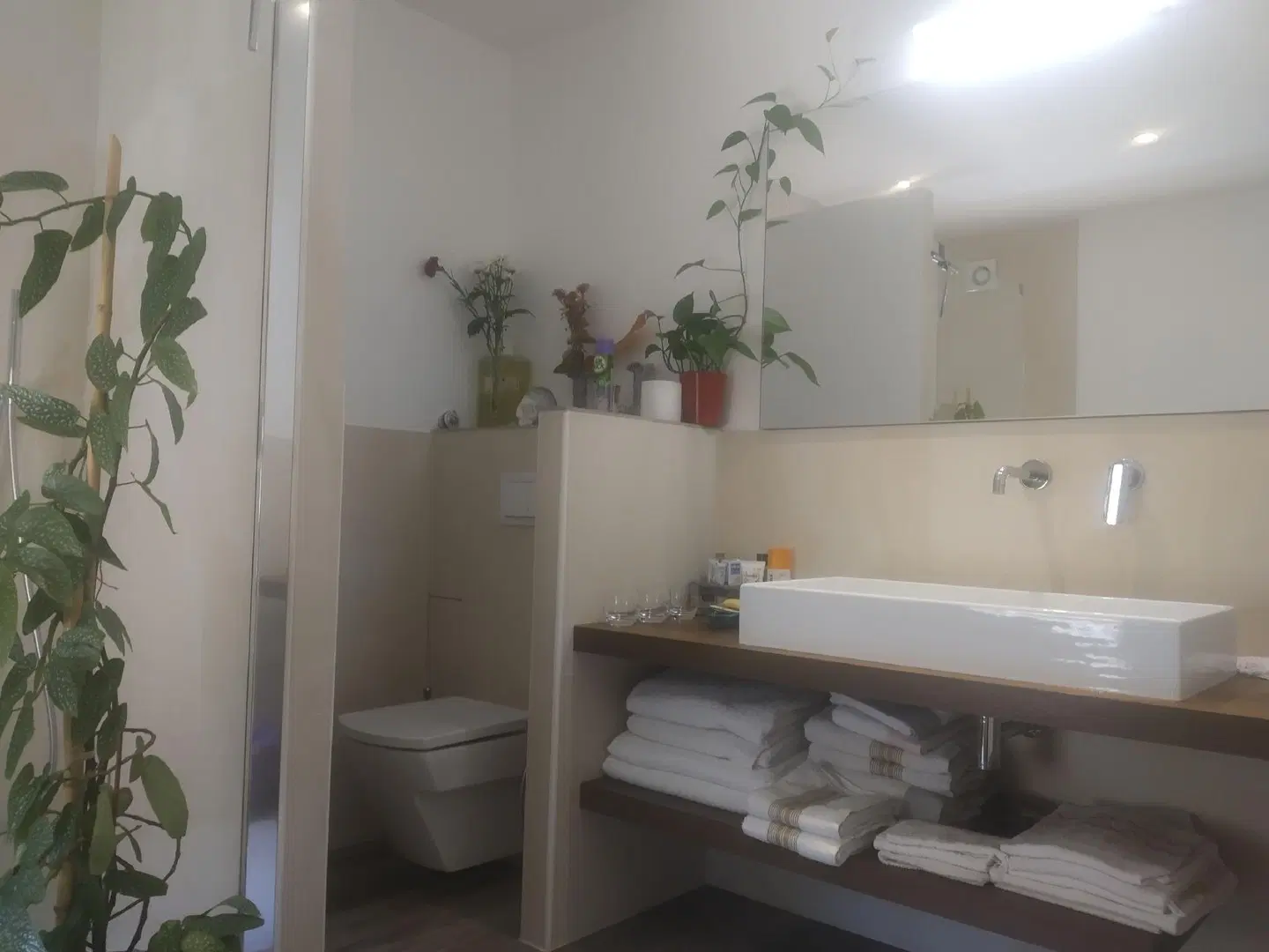 Le Térébinthe B&B Badezimmer