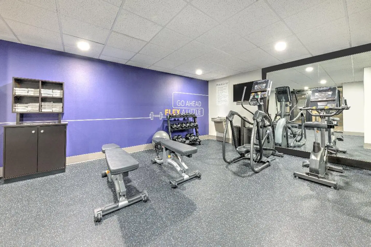 Holiday Inn Express Dallas Downtown by IHG SPORTS_AND_LEISURE