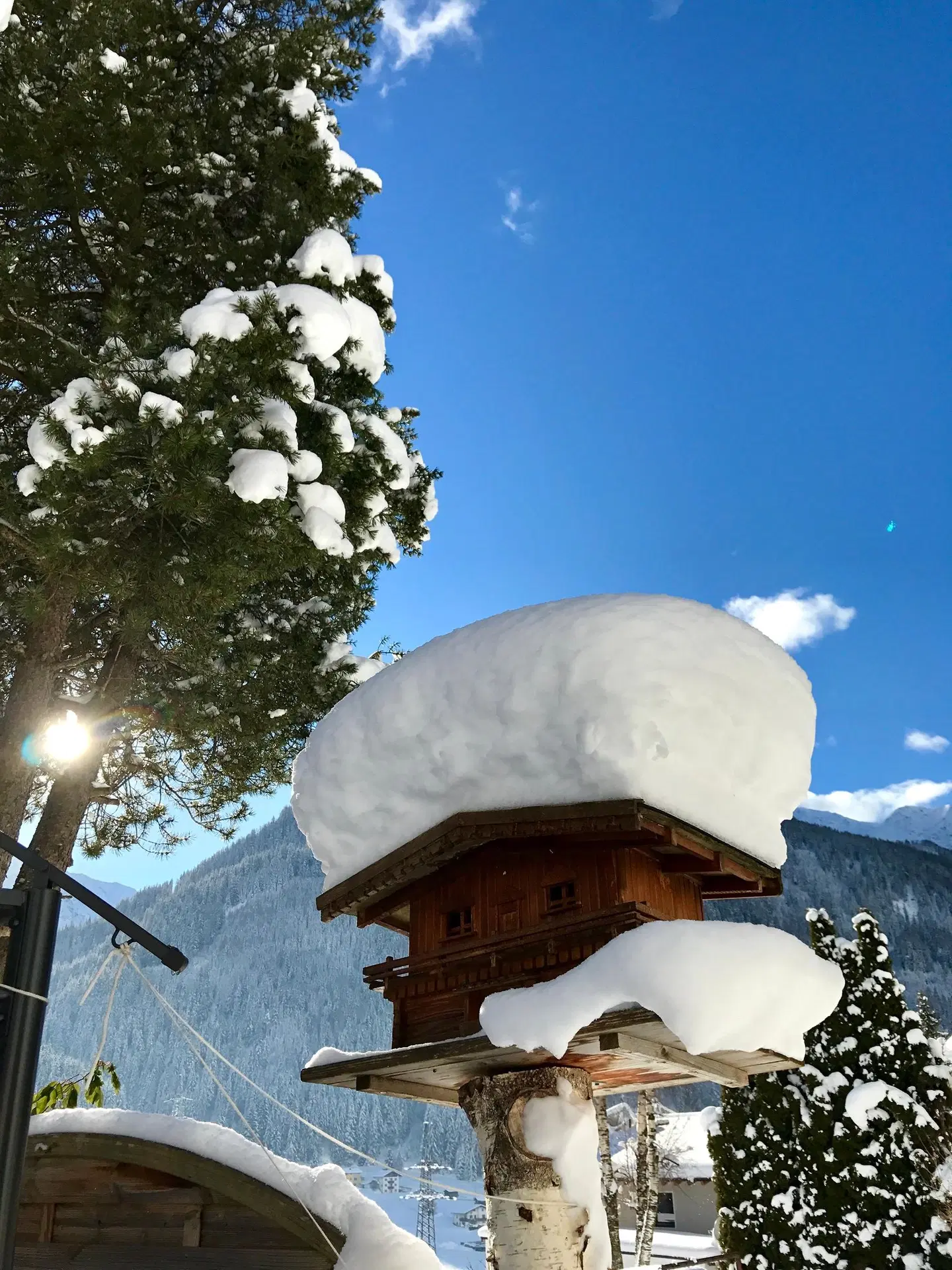 Hotel Schwarzer Adler Tiere