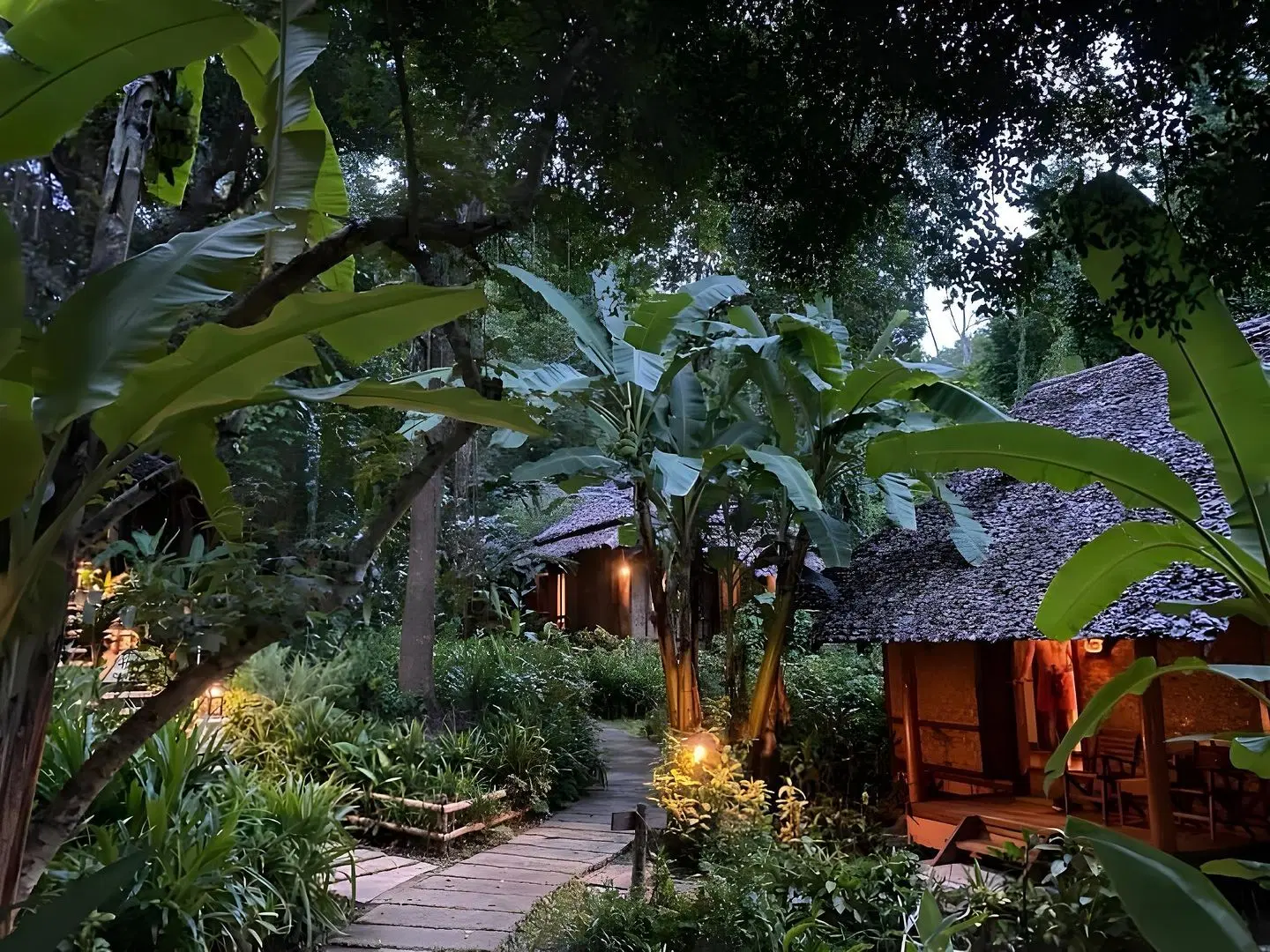 Fern Resort Garten
