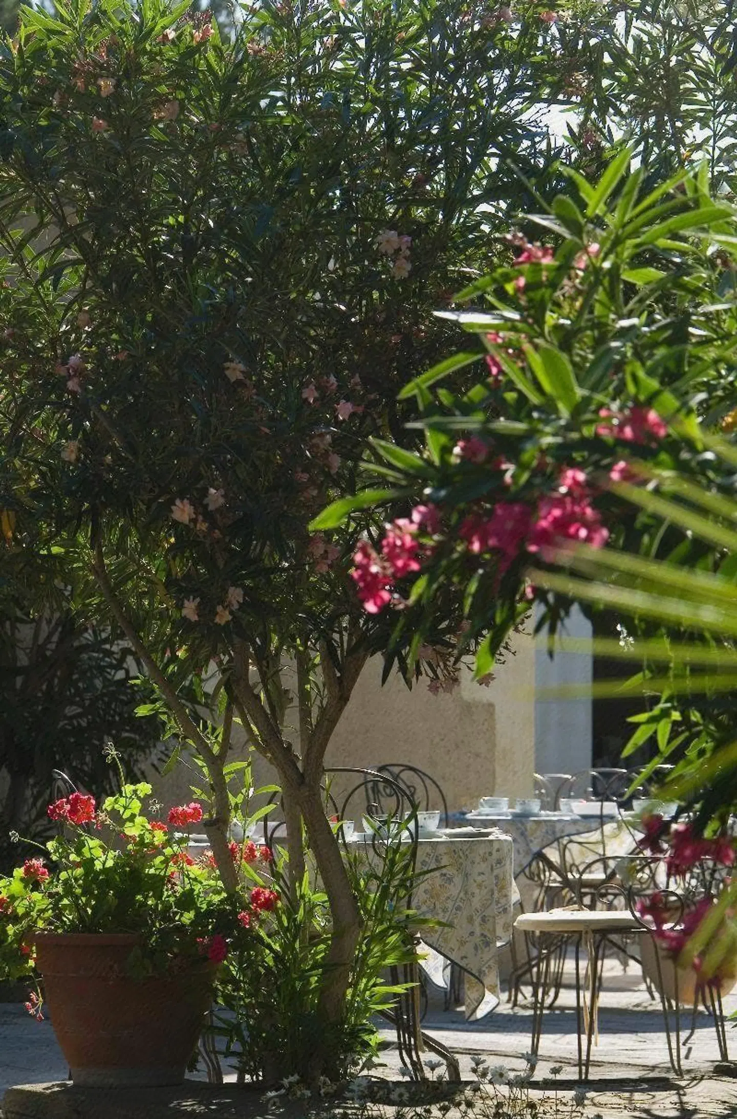 Benvengudo Garten