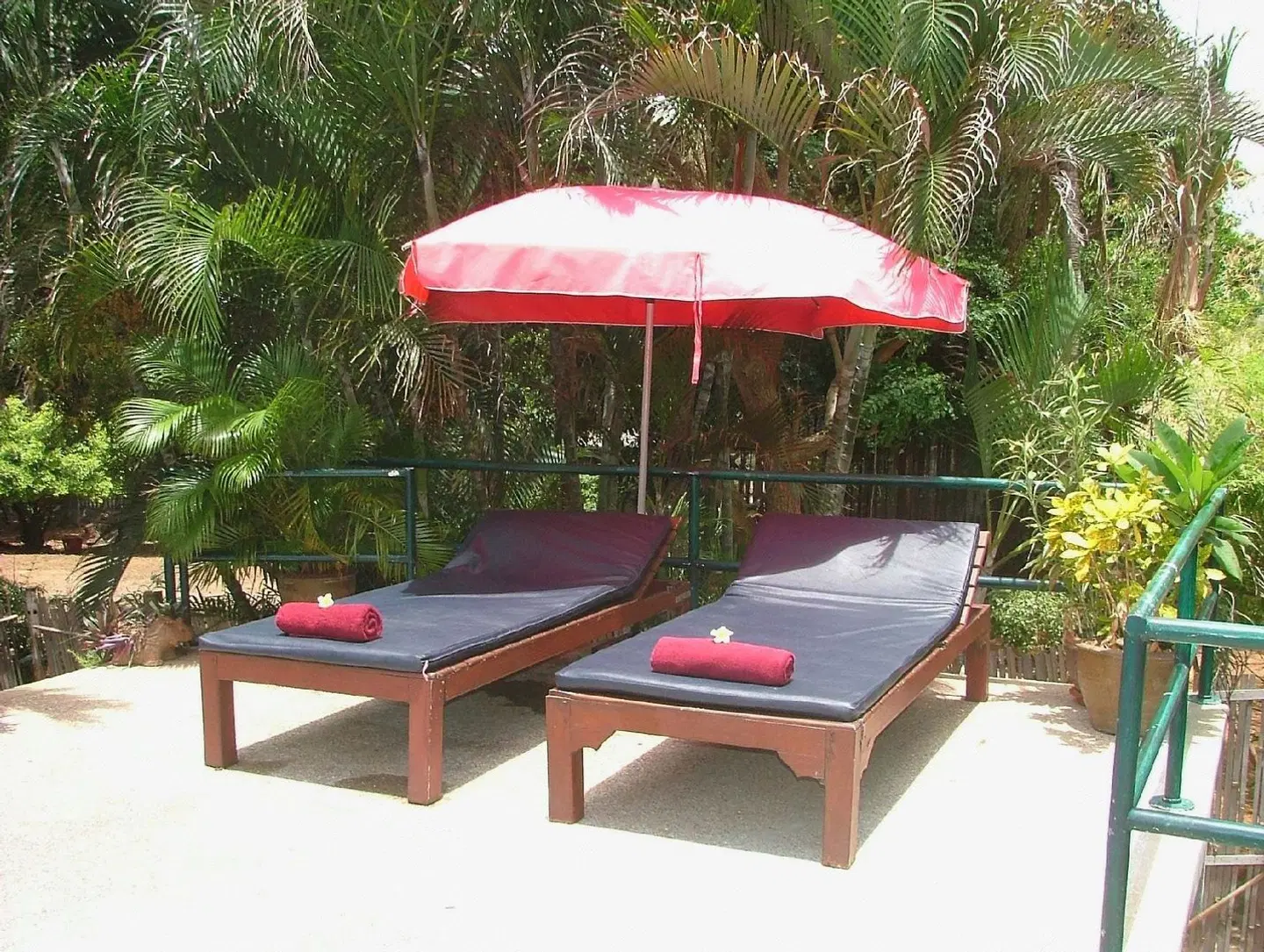 Hillside Resort Pattaya Garten