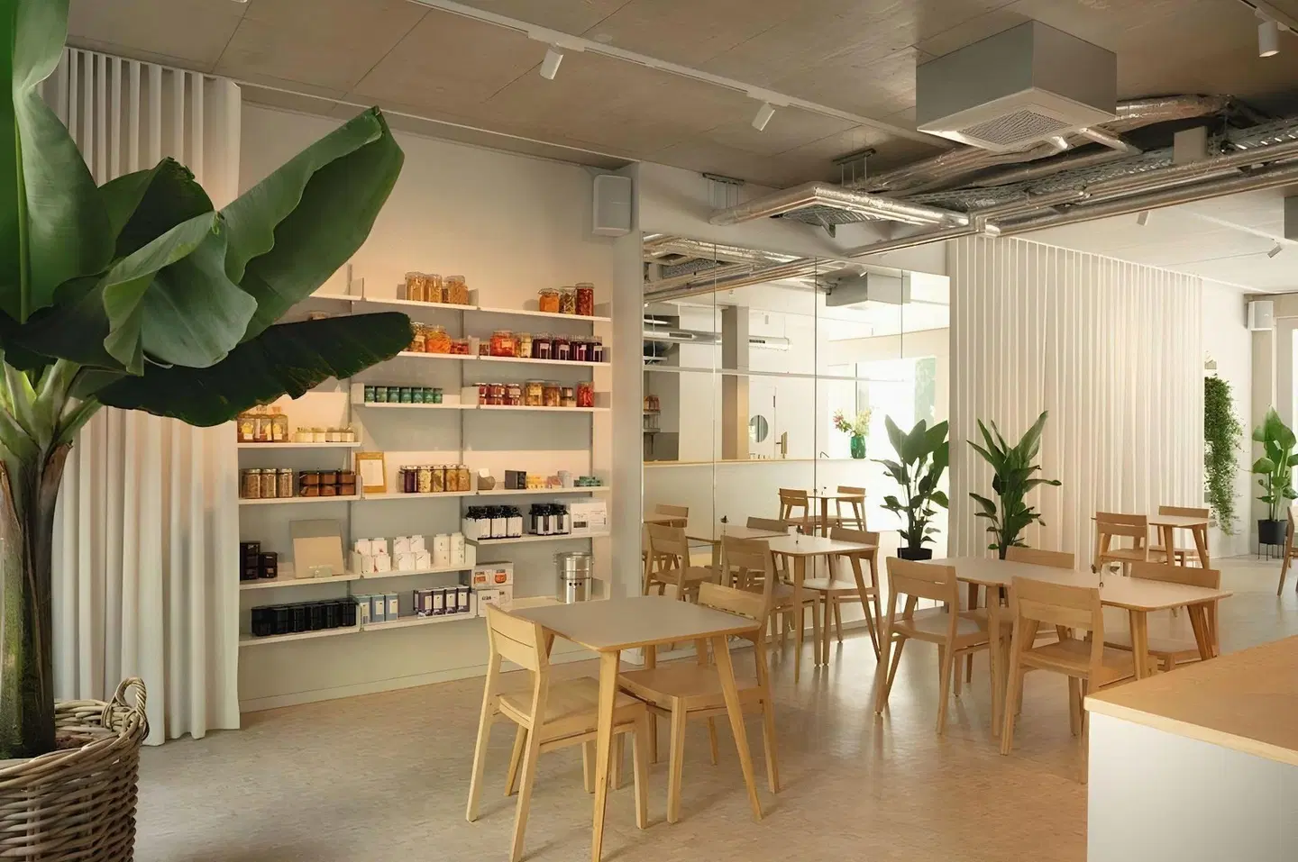 Wilmina Bar